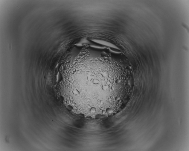 X0000091310175200708241122