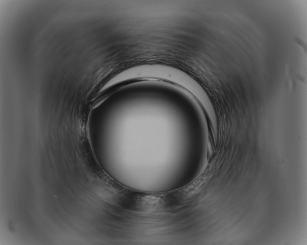 X0000091310176200708241122