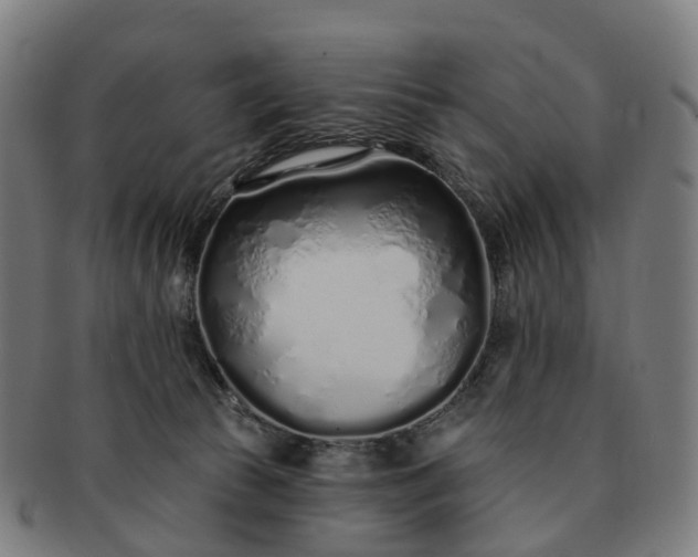 X0000091310177200708241122