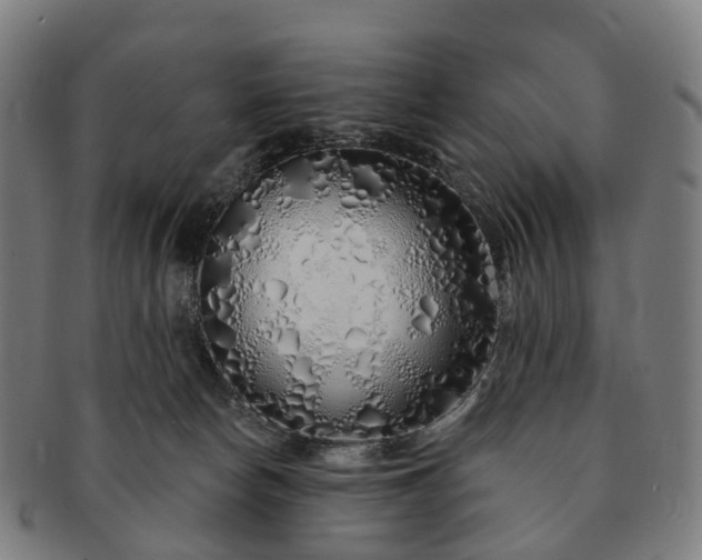 X0000091310178200708241122