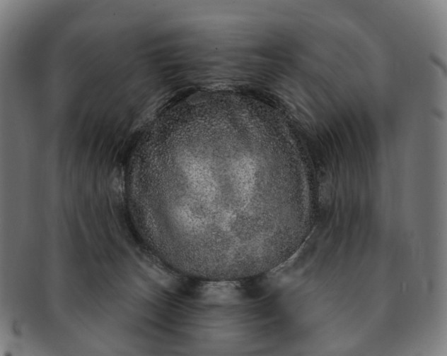 X0000091310179200708241122