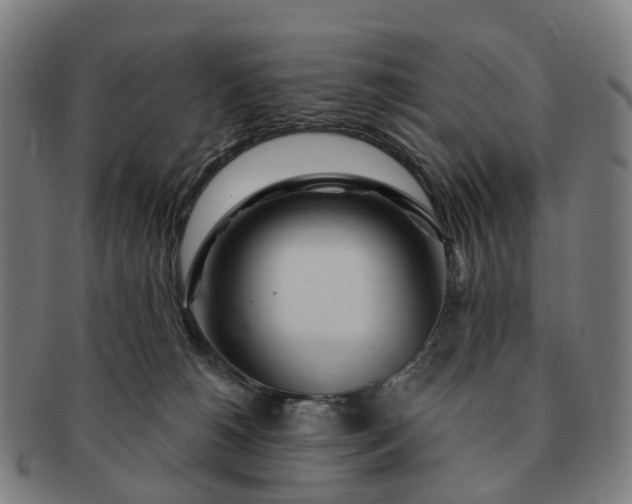 X0000091310180200708241122