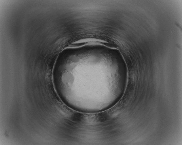 X0000091310181200708241122