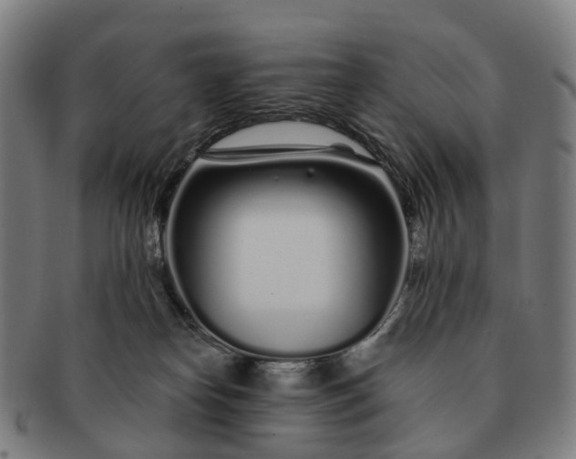 X0000091310182200708241122