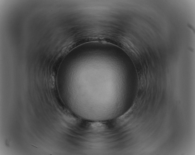 X0000091310183200708241122