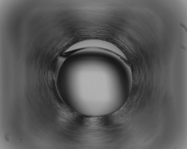 X0000091310184200708241122