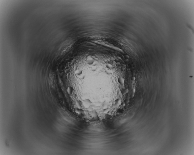 X0000091310185200708241122