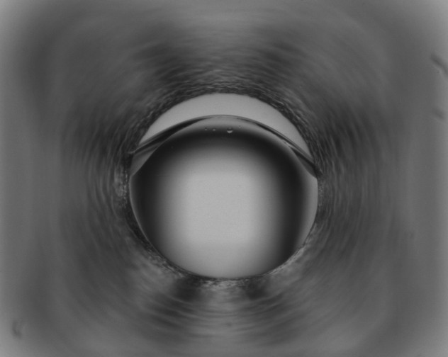 X0000091310186200708241122