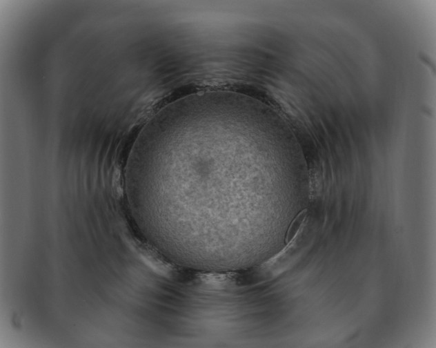 X0000091310187200708241122