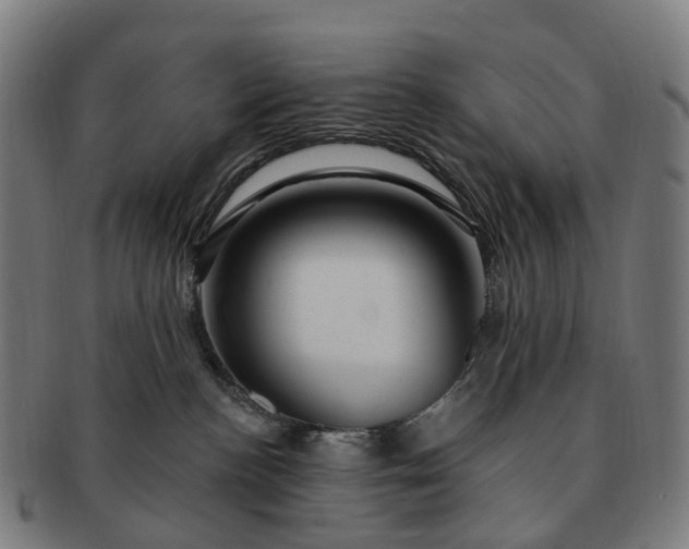 X0000091310188200708241122