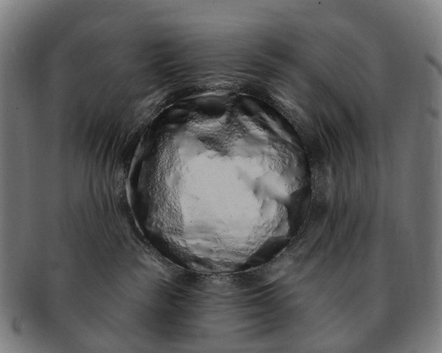 X0000091310189200708241122