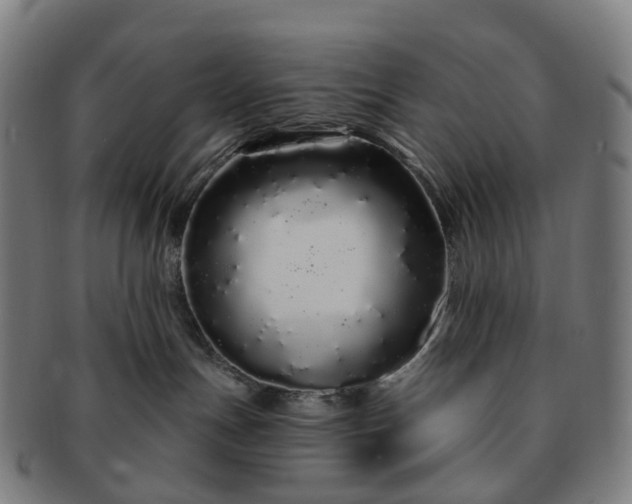 X0000091310191200708241122