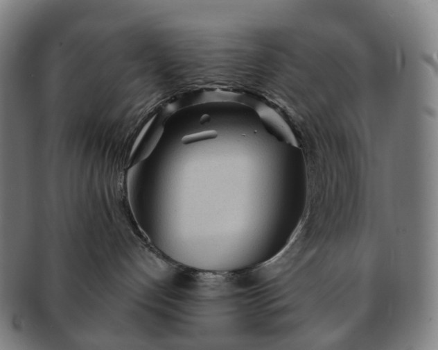 X0000091310192200708241122