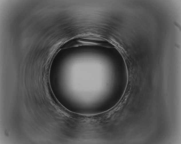 X0000091310193200708241121