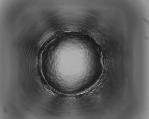 X0000091310194200708241121