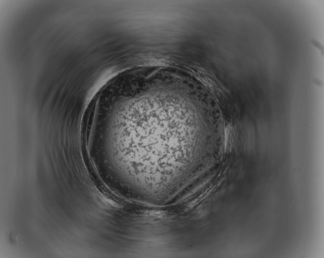 X0000091310195200708241121