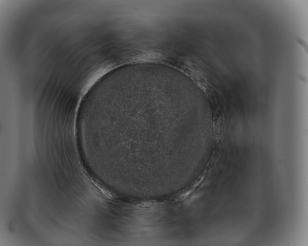 X0000091310196200708241121