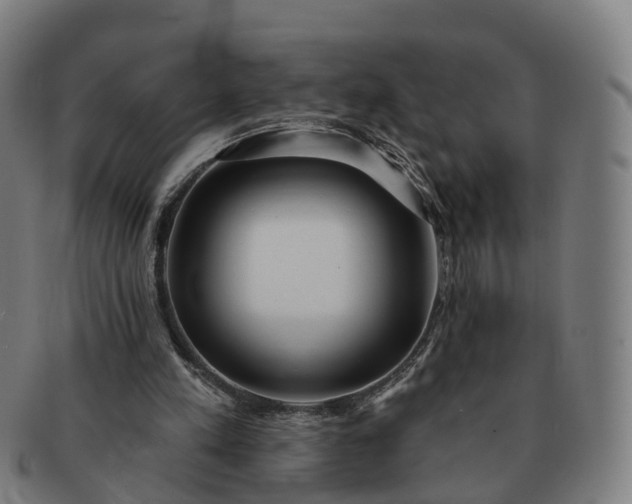 X0000091310197200708241121