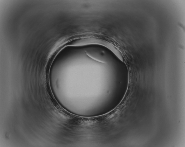 X0000091310198200708241121