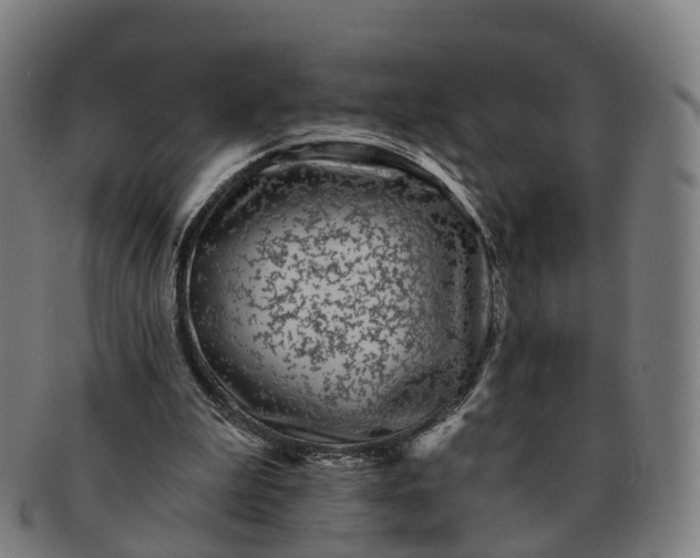 X0000091310199200708241121