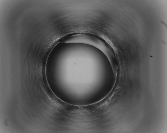 X0000091310201200708241121