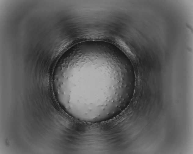 X0000091310202200708241121