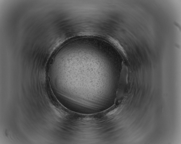 X0000091310204200708241121