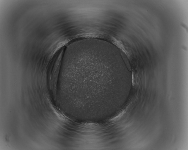 X0000091310205200708241121