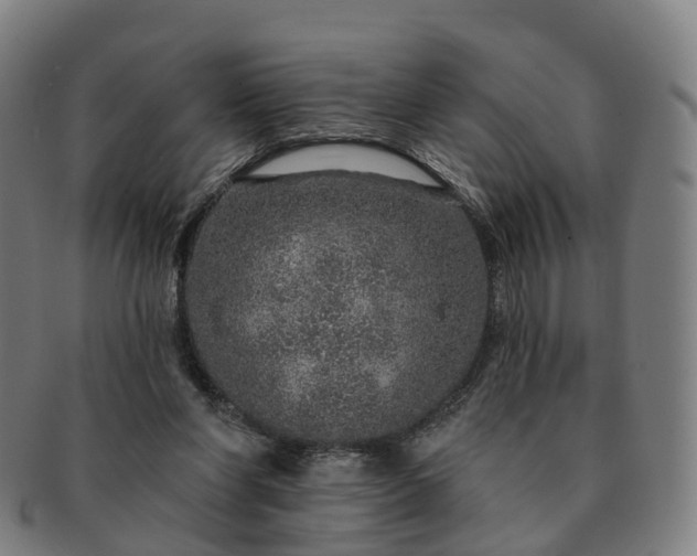 X0000091310206200708241121