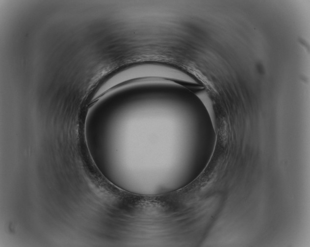 X0000091310207200708241121