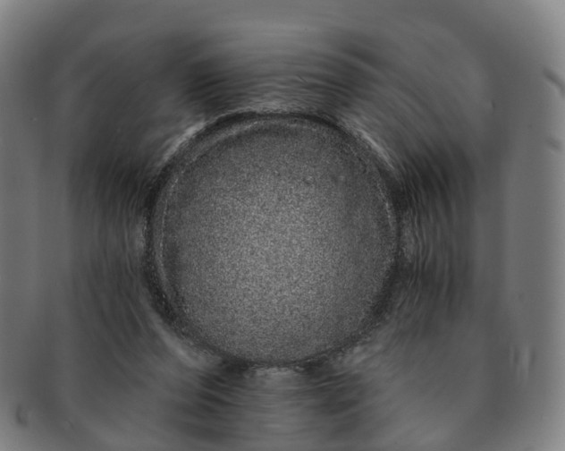 X0000091310208200708241121