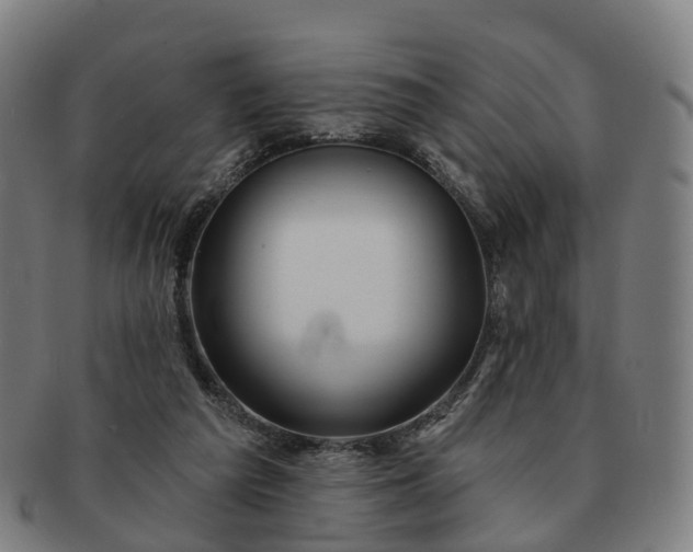 X0000091310209200708241121