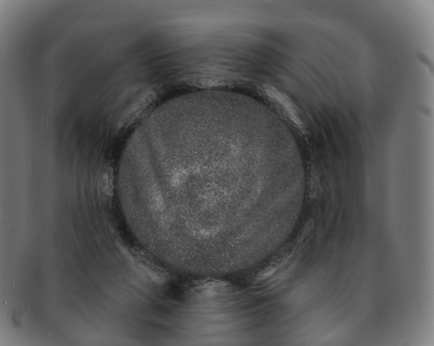 X0000091310210200708241121