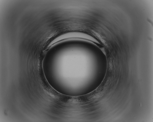 X0000091310211200708241121