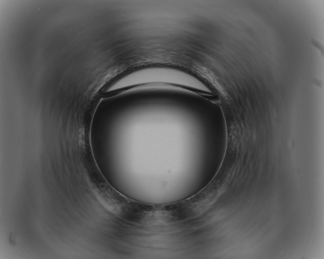 X0000091310212200708241121