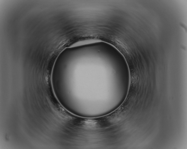 X0000091310214200708241121