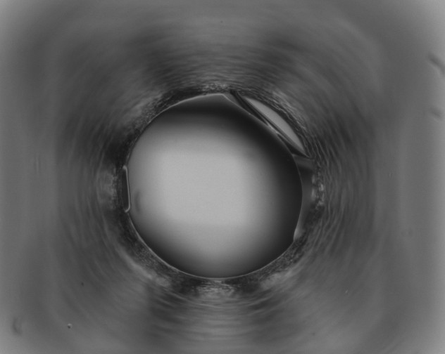 X0000091310215200708241121