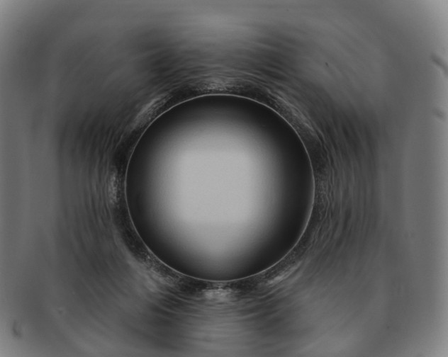 X0000091310216200708241121