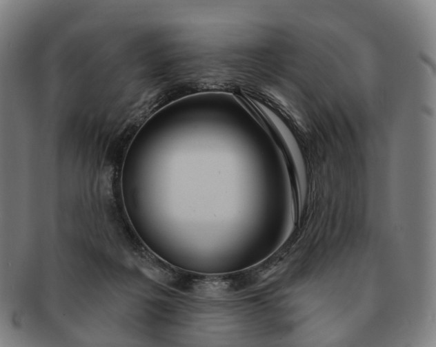 X0000091310217200708241121