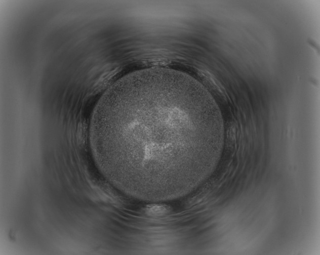 X0000091310218200708241121