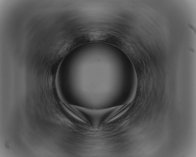 X0000091310219200708241121