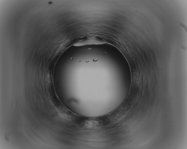 X0000091310220200708241121