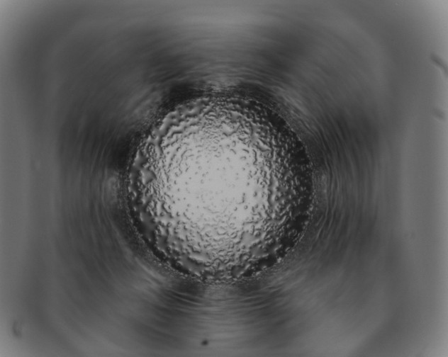 X0000091310222200708241121