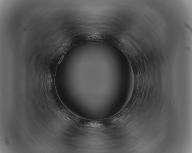 X0000091310223200708241121