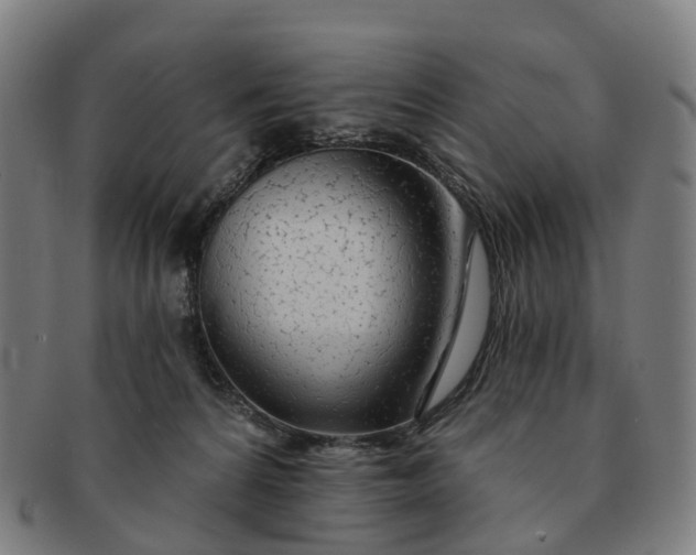 X0000091310224200708241121