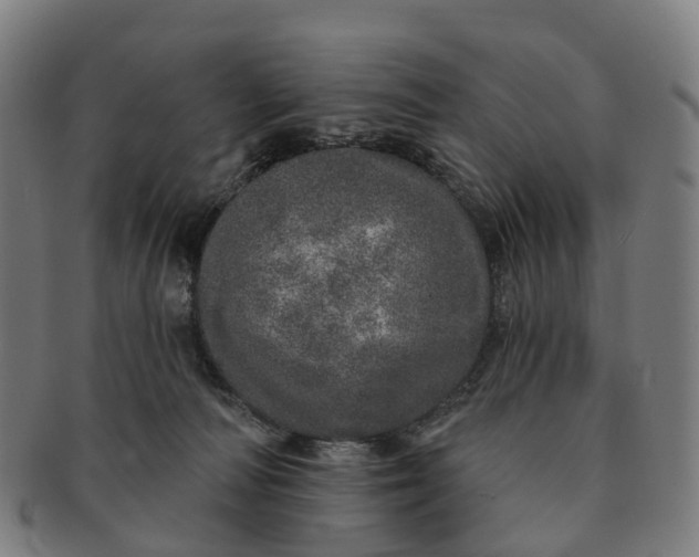 X0000091310226200708241121