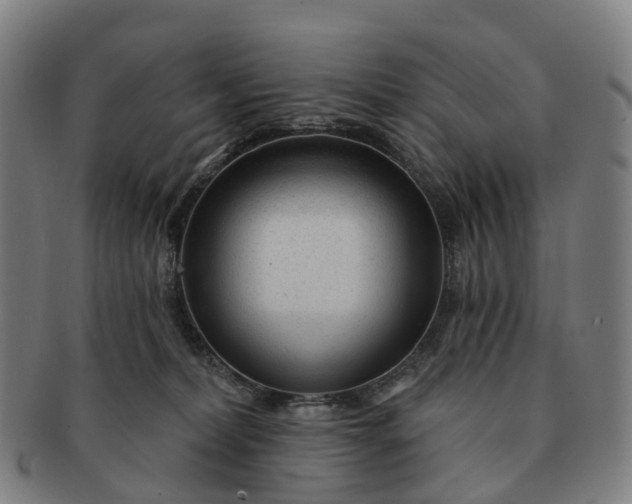 X0000091310228200708241121