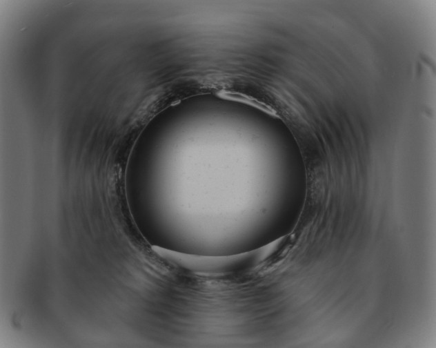 X0000091310229200708241121