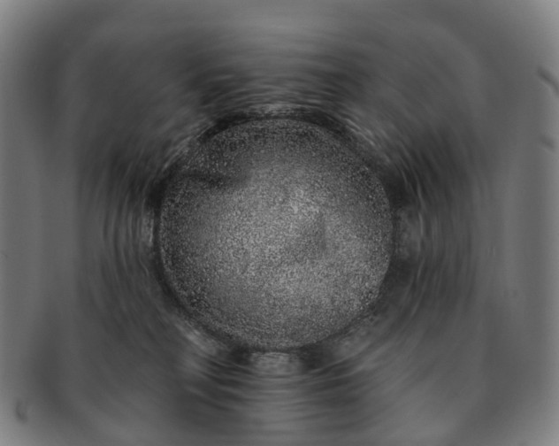 X0000091310230200708241121