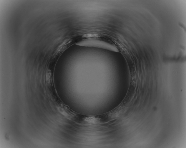 X0000091310231200708241121